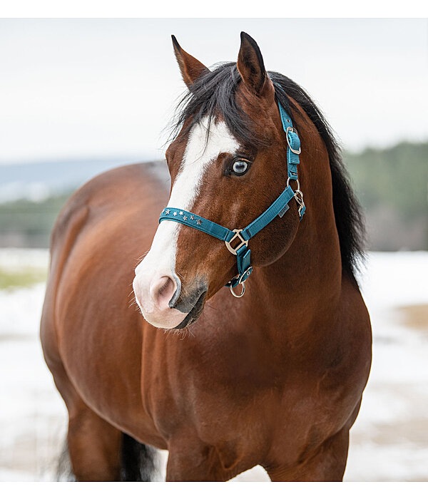 Halter Stella