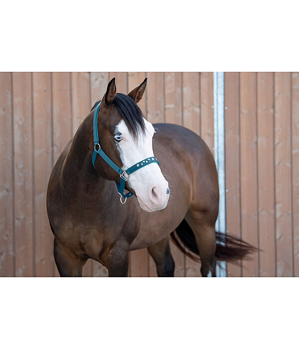 Halter Stella