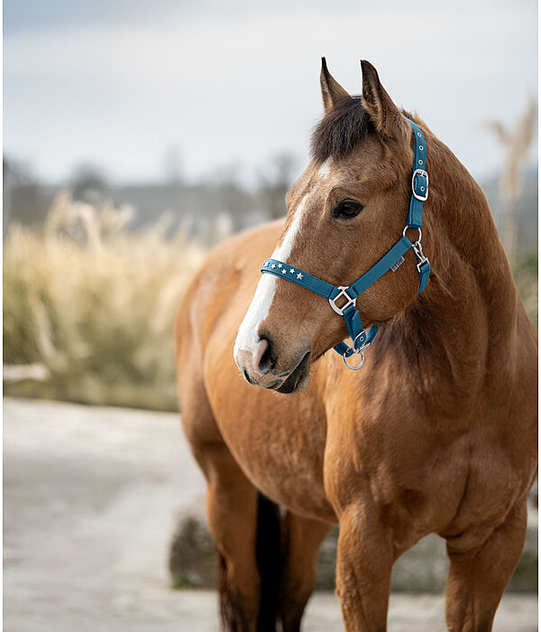 Halter Stella