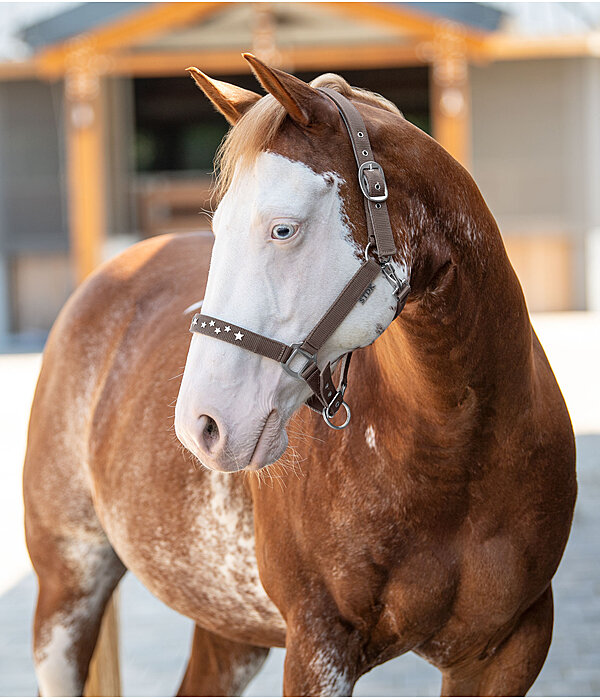 Halter Stella