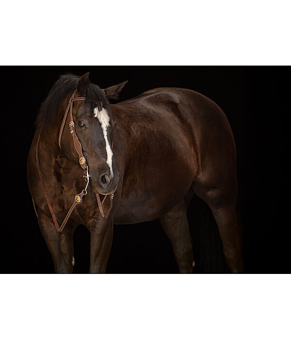 Headstall Crystal Dream