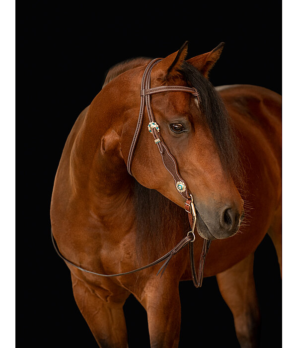 STDK Headstall Turquoise Dream