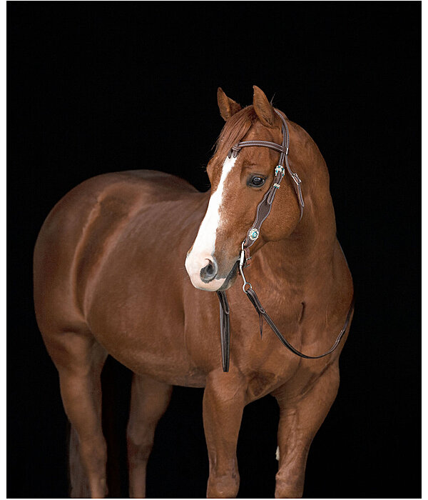 STDK Headstall Turquoise Dream