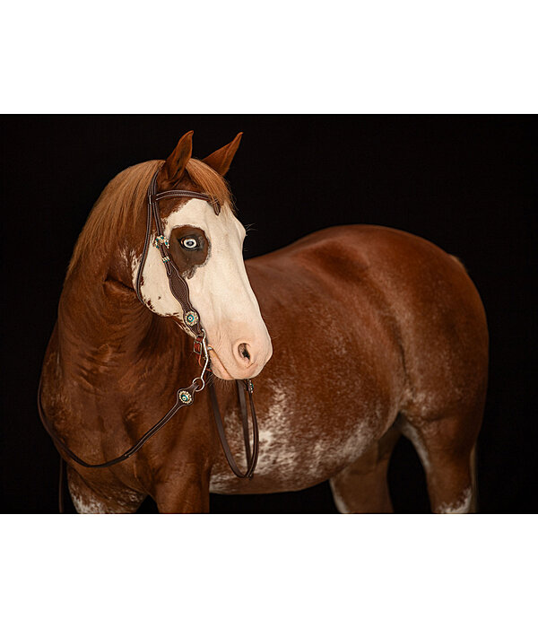 Headstall Crystal Dream