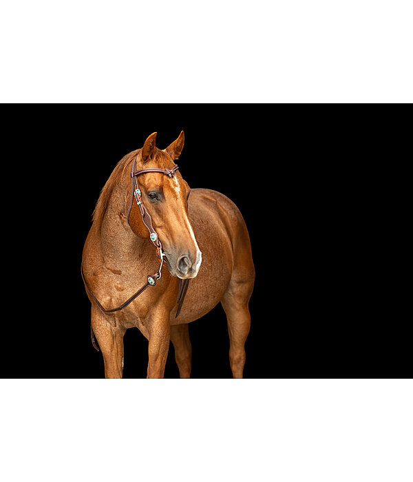 Headstall Crystal Dream