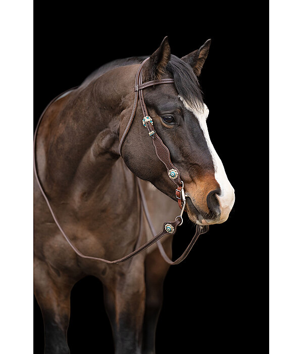 Headstall Crystal Dream