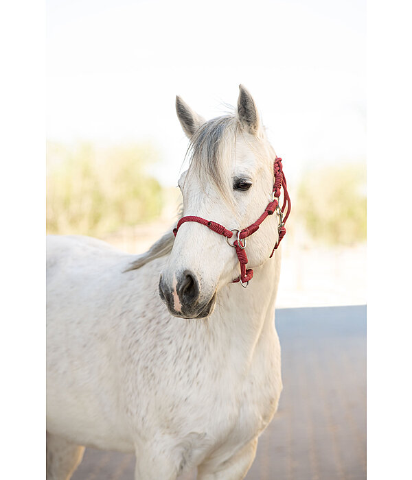 Halter Ropes