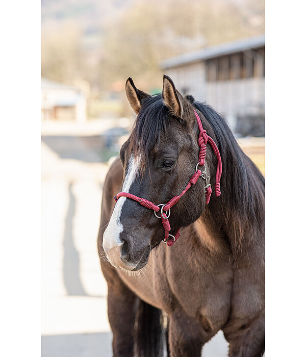 Halter Ropes