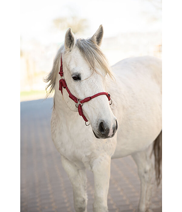 Halter Ropes