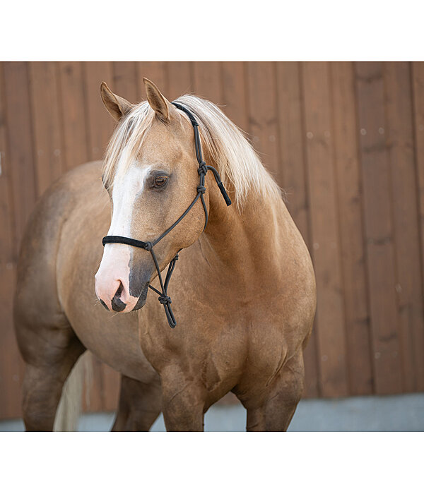 Rope Halter Cuero