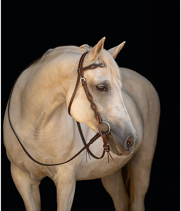 Headstall Cutting