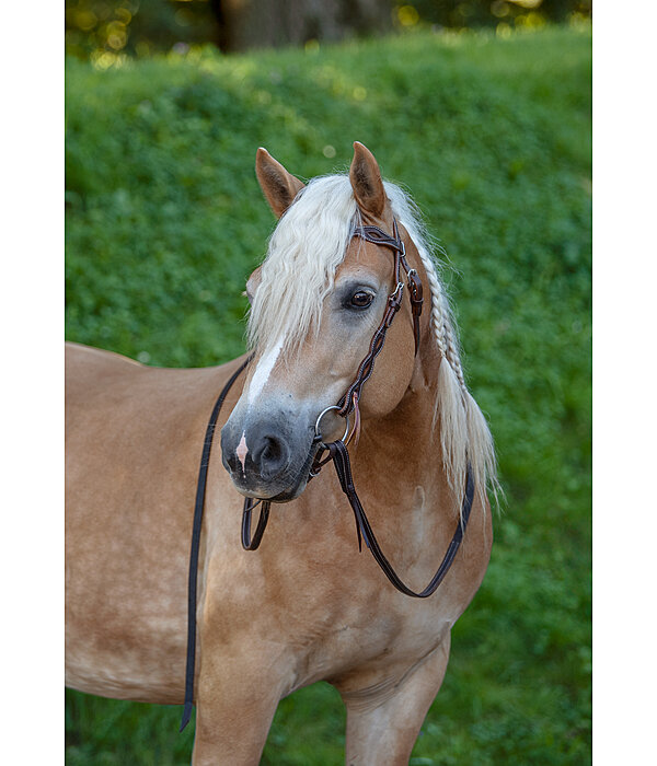 Headstall Cutting