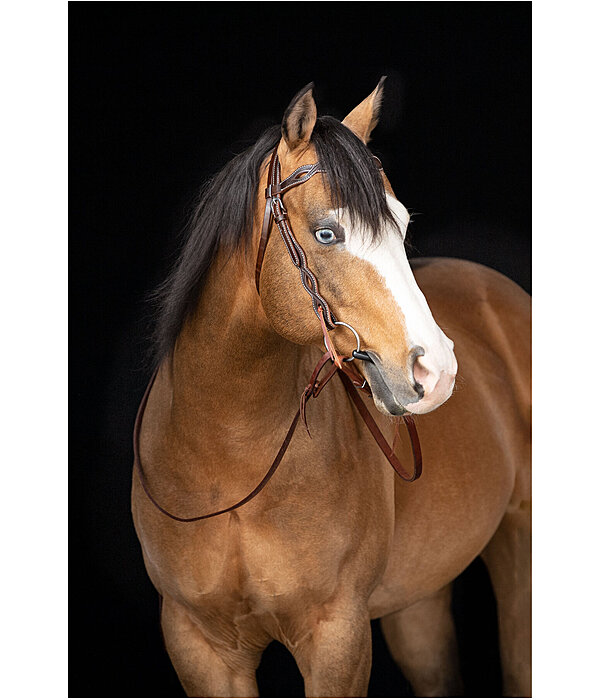 Headstall Cutting