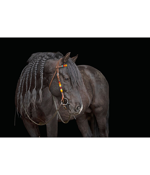 Headstall Perla