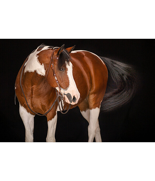 Headstall Ikat