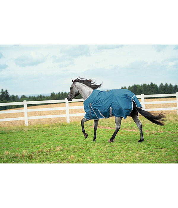 Lightweight Turnout Rug Billy