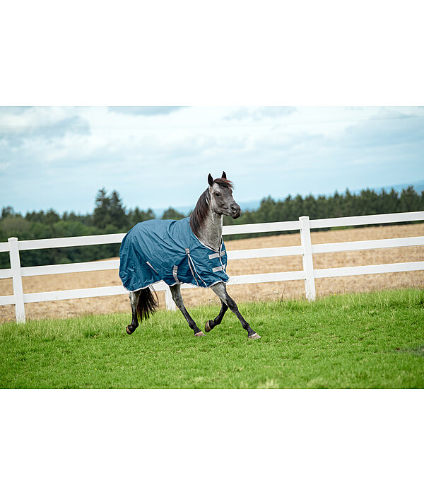 Lightweight Turnout Rug Billy