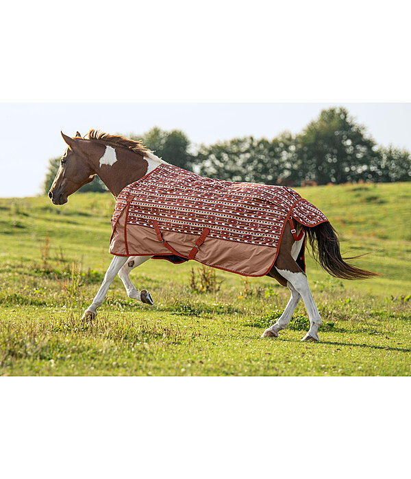 Lightweight Turnout Rug Billy