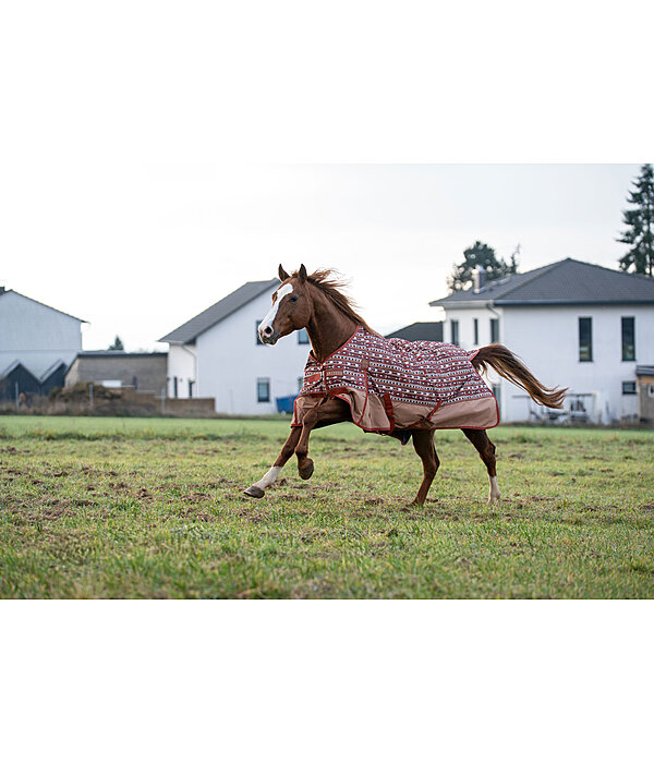 Lightweight Turnout Rug Billy