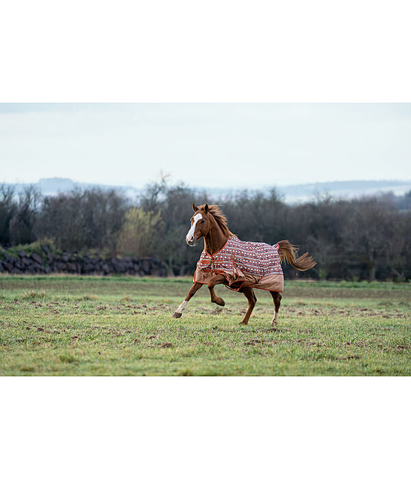 Lightweight Turnout Rug Billy