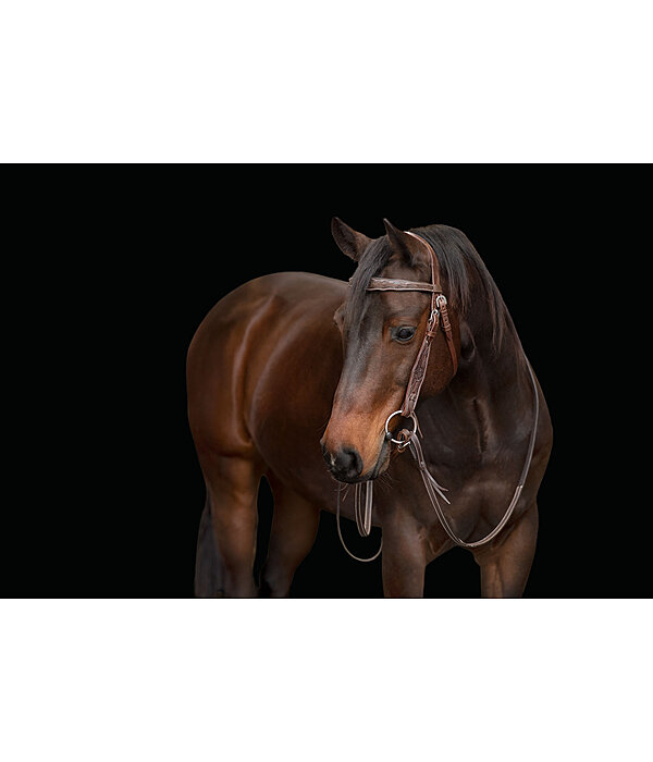 Western Headstall Valea