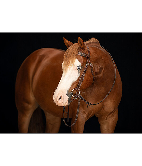 Western Headstall Valea