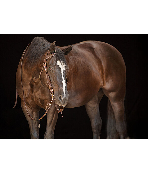 Western Headstall Copper