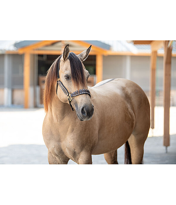 Leather Halter Napi