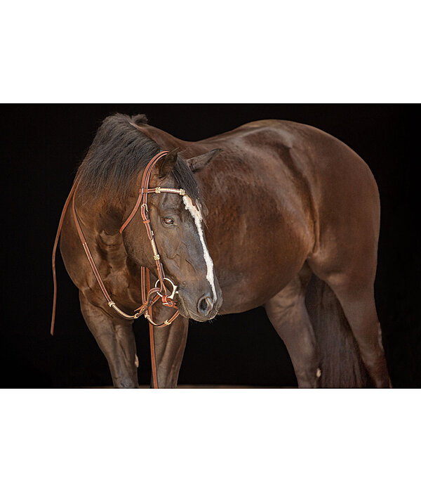 Headstall Braided Rawhide