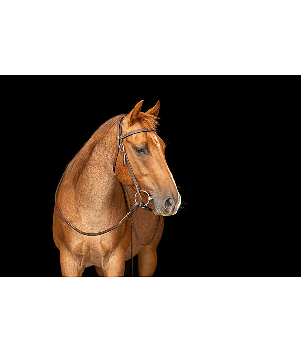 Training Headstall Harness