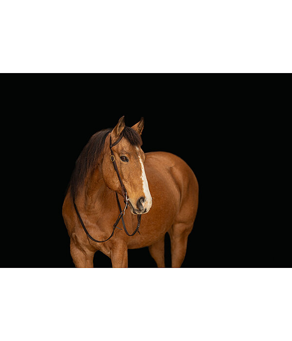 One-Ear Training Headstall Harness