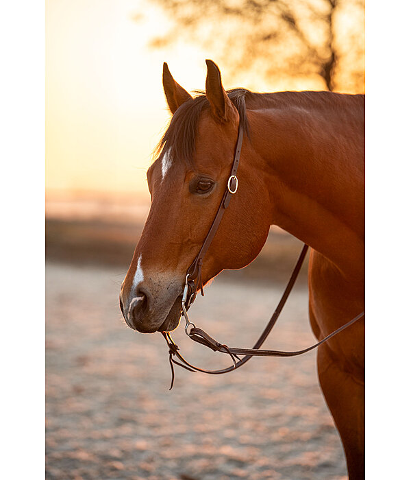 One-Ear Training Headstall Harness