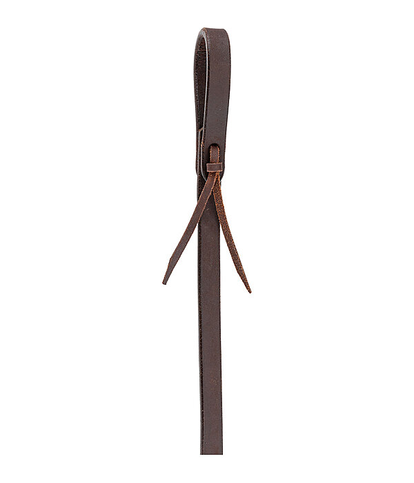 Western Reins Harness