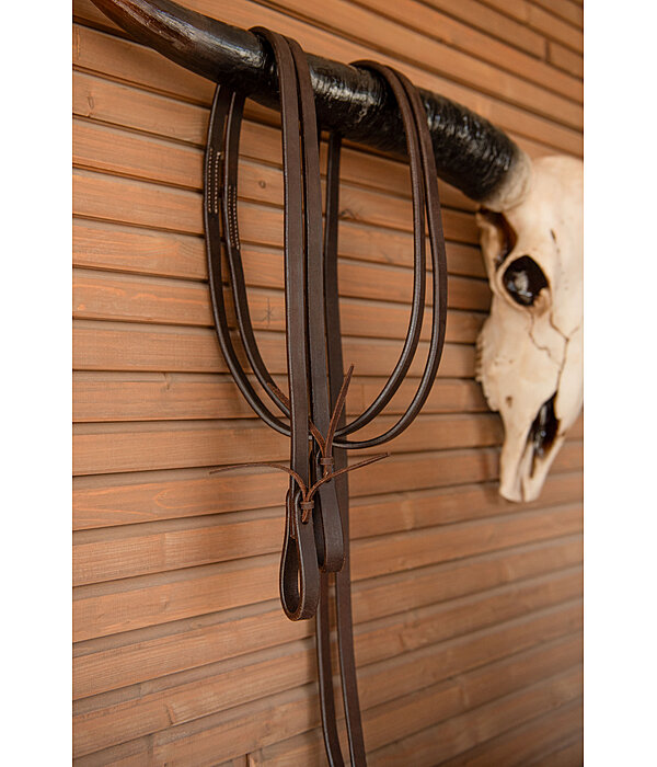 Western Reins Harness