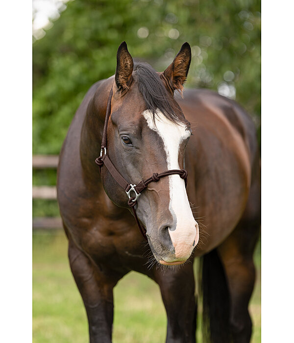 Hybrid Knot Rope Halter