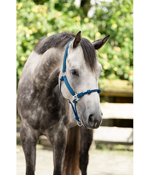 Hybrid Knot Rope Halter