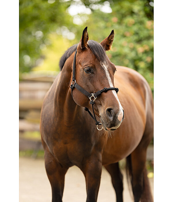 Hybrid Knot Rope Halter