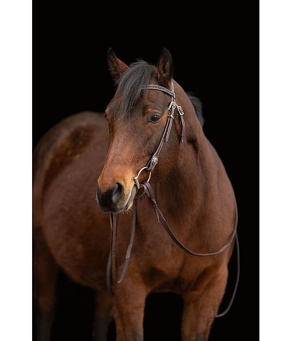 Headstall Leaves