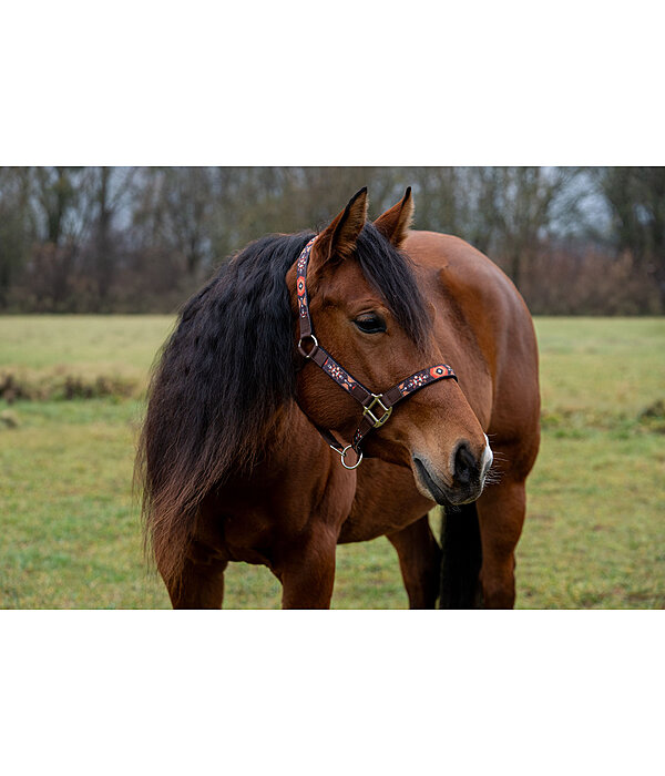 Headcollar Sumailla