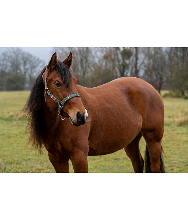 Headcollar Sumailla