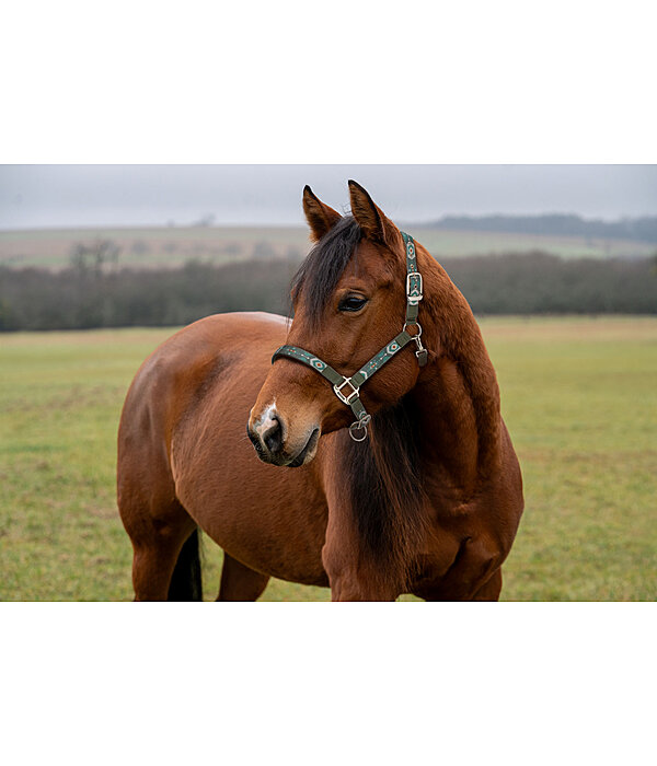 Headcollar Sumailla