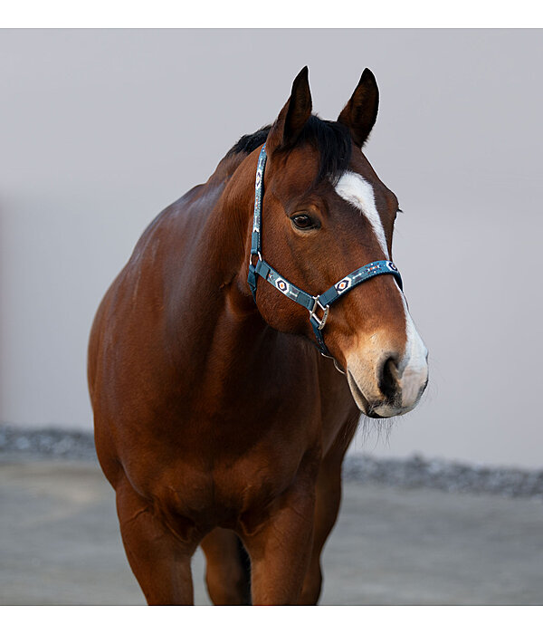 Headcollar Sumailla