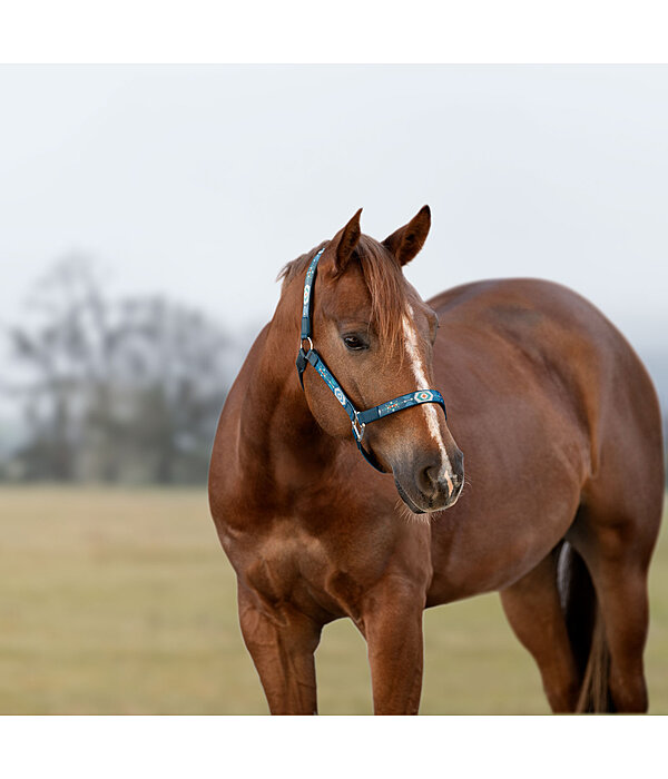 Headcollar Sumailla
