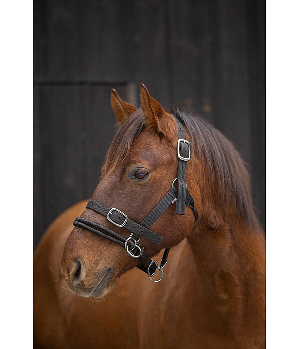 Training Headcollar Dual-Mode