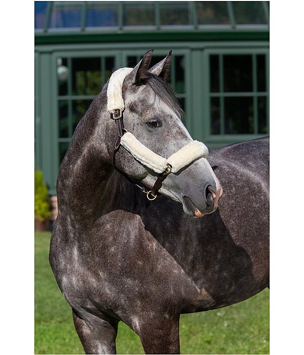 Teddy Fleece Headcollar Set