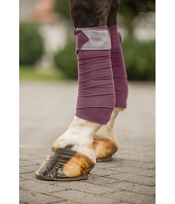 Bandages Swiss Design