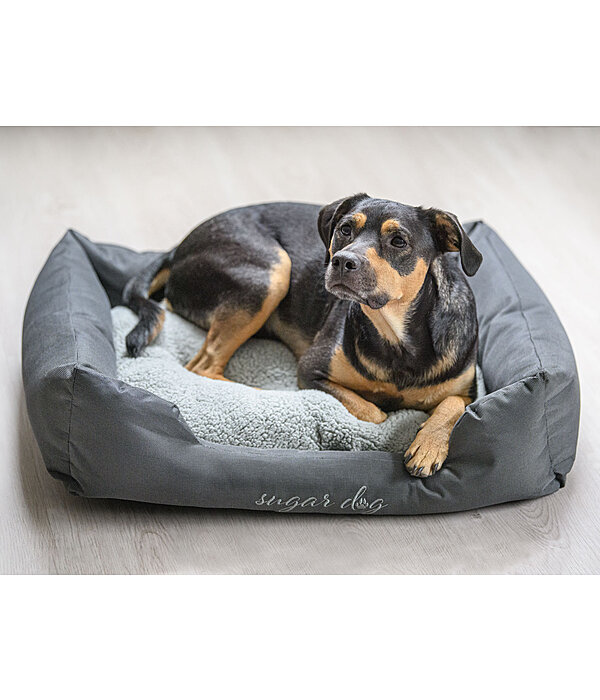 Dog Bed Dreamy