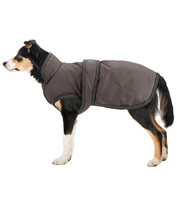 Winter Dog Coat Eddie with Fleece Lining, 200g