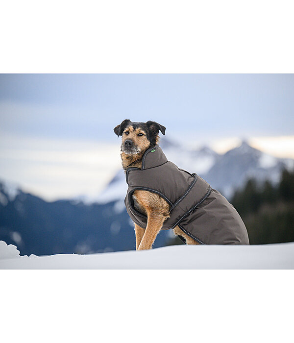 Winter Dog Coat Eddie with Fleece Lining, 200g