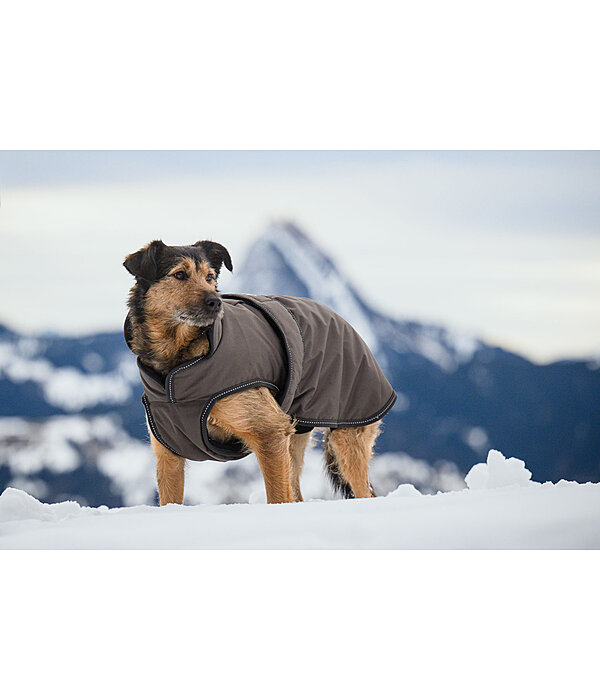 Winter Dog Coat Eddie with Fleece Lining, 200g